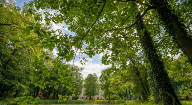 Palac w Pakoslawiu, Rezerwuj Hotel Pakosław wielkopolskie