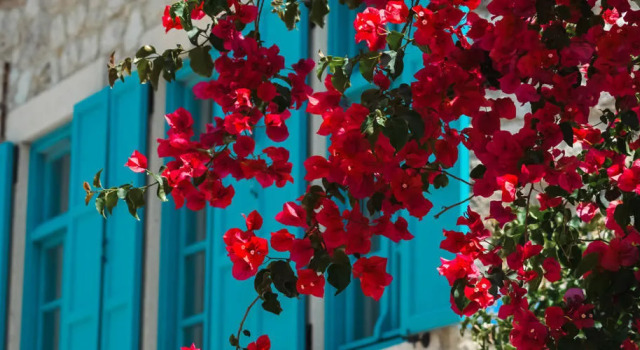 Casa Alegre Alaçatı, Đặt Khách sạn Alacati Aegean Region