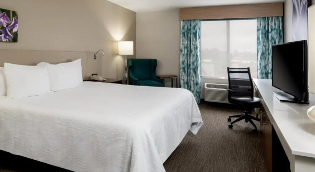 Двухместный номер Premium Hilton Garden Inn Folsom