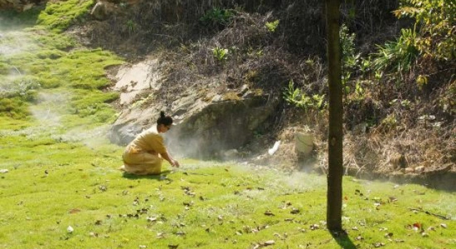 Shengshuitianyou Homestay