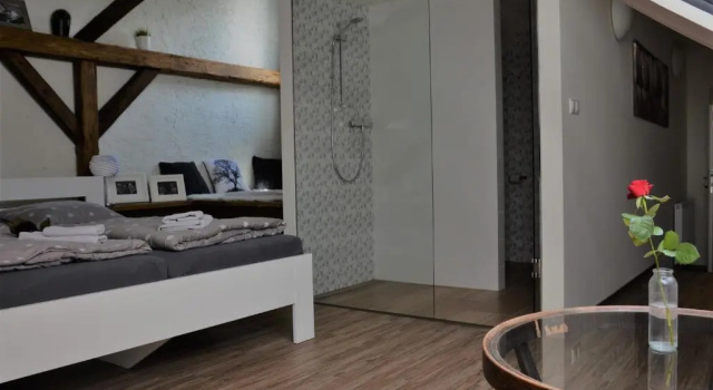 Двухместный люкс Deluxe Penzion a relax centrum Andělka