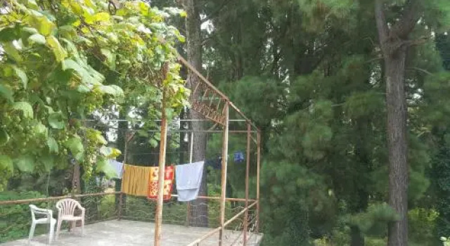 Tamuna