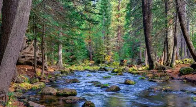 Black Butte Big Meadows 11th Fairway, Забронировать Апартаменты/квартира Блэк-Батти-Ранч Орегон