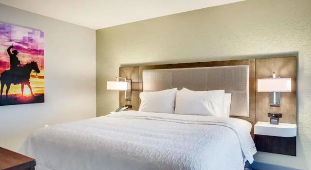 Люкс Hampton Inn & Suites Fort Worth Downtown