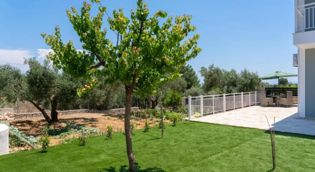 Апартаменты c 1 комнатой Dendra Apartments at Skala