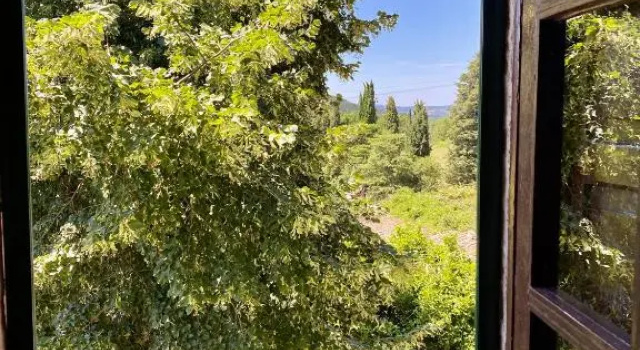 Полулюкс Agriturismo Germogli I Tenuta di Fassia