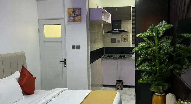 Студия Standard RBZ Apartments