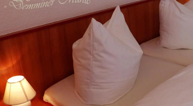 Двухместный номер Standard Hotel Demminer Mühle
