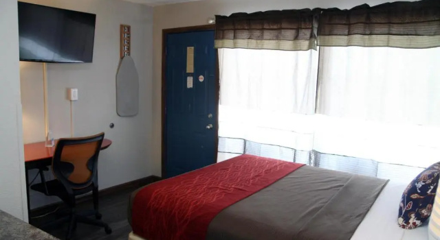 Одноместный номер Standard South T Motel