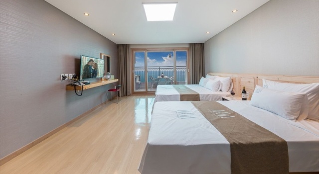 Двухместный номер Standard с балконом Aria Pension Resort