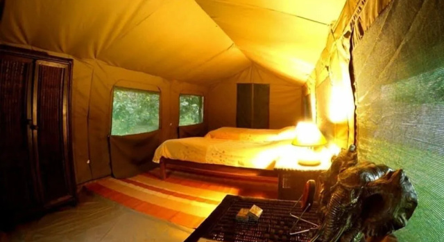 Pioneer Lodge Camp and Safaris