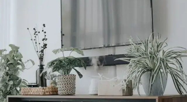 Omahe Malang Boho Urban Jungle Private House, Réserver Hôtel Hôtels 3 étoiles à Java oriental, 3*