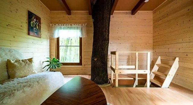 Treehouse Zlatá Koruna, Забронировать Отель Злата Коруна Южная Богемия