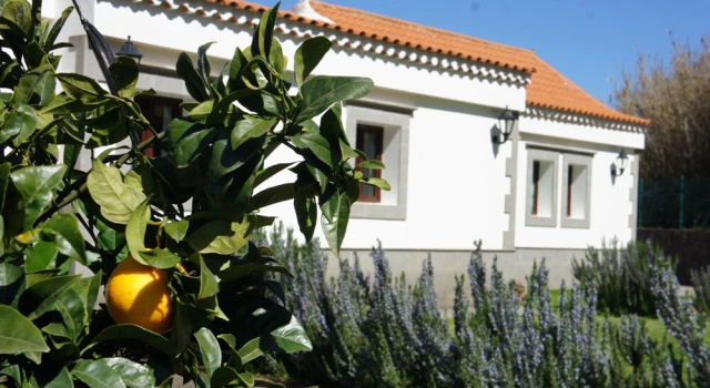 Casa Aislada la Cuesta