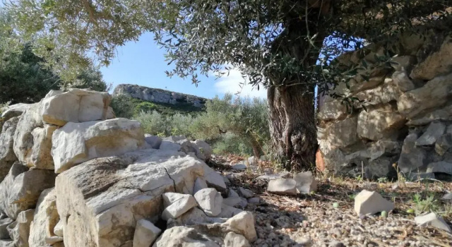 Casa Roca, Varaa Hotelli El Perello Katalonia