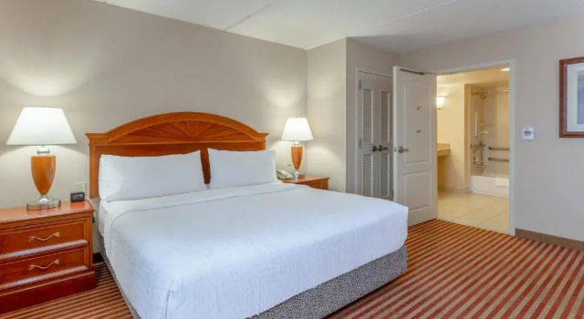 Люкс Hilton Garden Inn Richmond South/Southpark