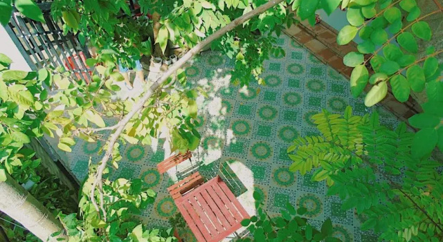 Номер Standard Xanh Lá Homestay Hội An