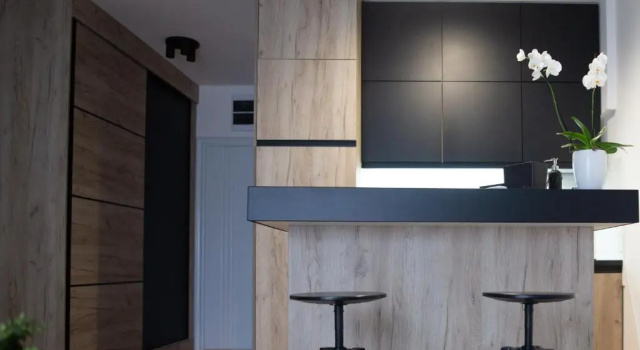 Cozy Apartment Plus