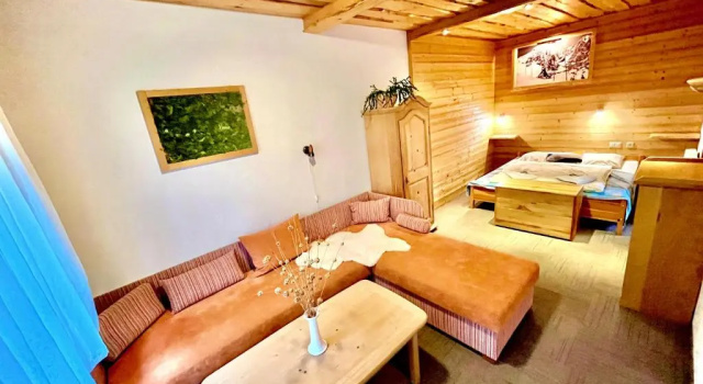 Студия Penzion Limba