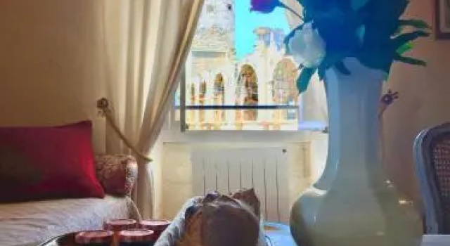 Appartement aux Arènes, Забронировать Апартаменты/квартира Апартаменты Арля, Апартаменты/квартира