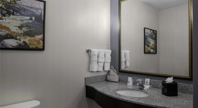 Двухместный номер Standard Hilton Garden Inn Denison/Sherman/At Texoma Event Center