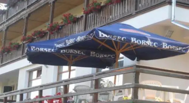 Vila Riki, Забронировать Отель Борсек Харгита