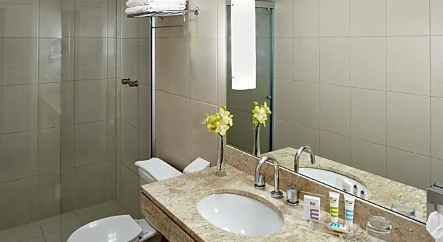 Двухместные апартаменты Standard Mercure Sao Paulo Paulista