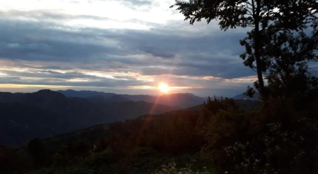Trimurti Pine Valley Resort, Забронировать Курортный отель Шимла 