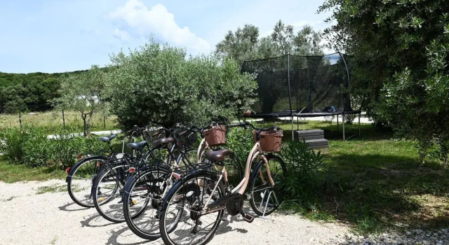 Radiant and Secluded Villa With Pool, Rezervovat Vila Rovinj Rovinj Riviera