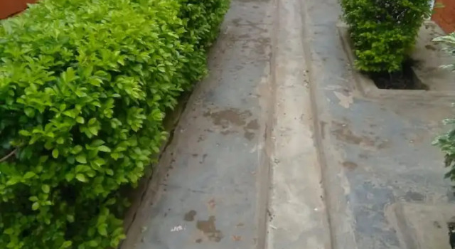 Chez Mbago Resort, Boek Resort Busia Kenia