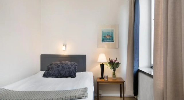 Одноместный номер Standard Hotel Park Allé