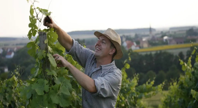 Worners Schloss Weingut & Wellness-Hotel, Rezervasyon Otel Prichsenstadt Steigerwald
