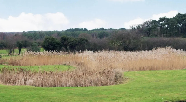 The Shank, Book Lejlighed Fritton Norfolk 