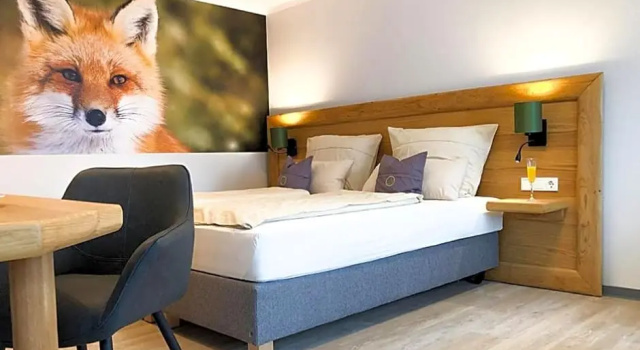 Номер Superior Landhotel Napoleon