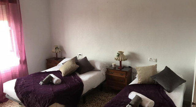 Homely apartments La Mata Centro