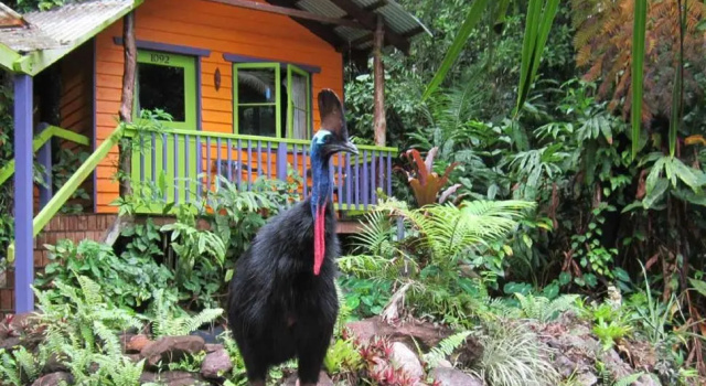 Бунгало с видом на сад Rainforest Hideaway