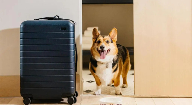 Одноместный номер Standard Jasper Hotel