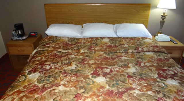 Номер Standard Edelweiss Ski Lodge