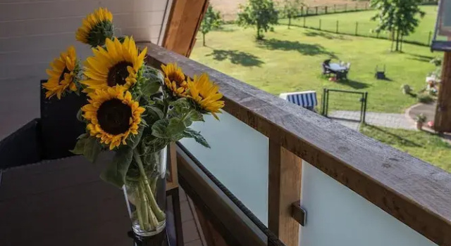 Апартаменты c 1 комнатой с балконом Ferienhaus am Eichenhof Zum Speicher