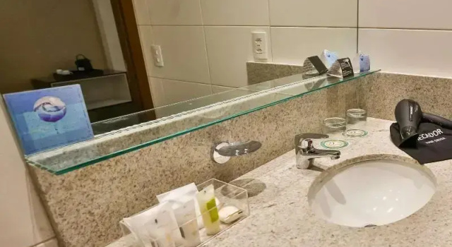 Одноместный номер Executive Quality Hotel Flamboyant
