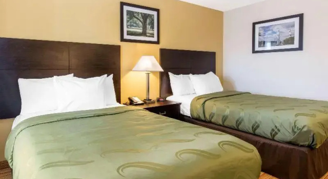 Standart oda Quality Inn Arab Hwy 231