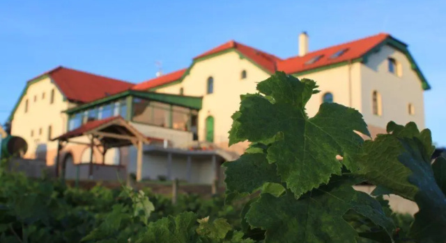 Номер Economy Hotel Vinohrad