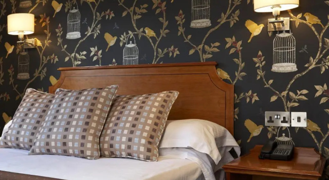 Двухместный номер Standard Цокольный этаж Mandolay Hotel Guildford