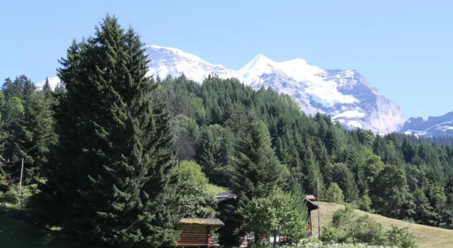 Staubbachbänkli, Reservar Hotel Wengen Jungfrau