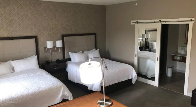 Четырёхместная люкс-студио Hampton Inn & Suites by Hilton Tampa Busch Gardens Area