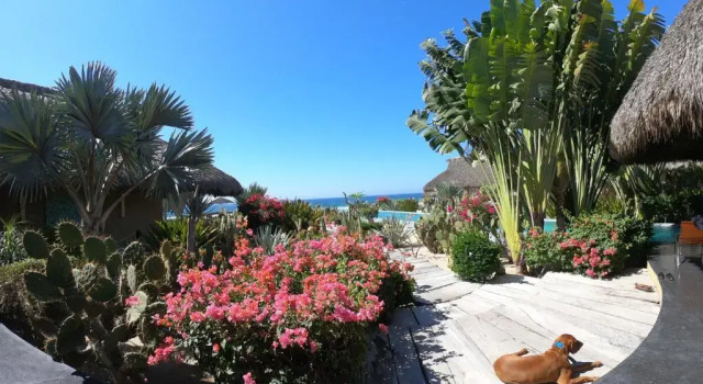 Vilă Samora Luxury Resort