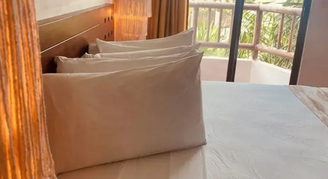 Двухместный номер Comfort с видом на сад Hotel Rio Lagartos