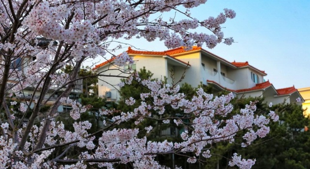 Janggun Pension, Забронировать Отель Отели Кёнсан-Намдо 4 звезды, 4*