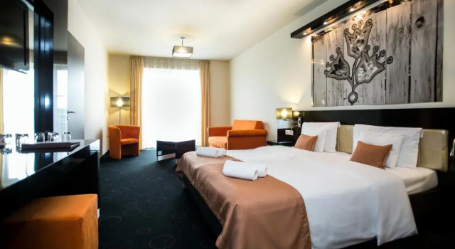 Номер Standard Gotthard Therme Hotel & Conference