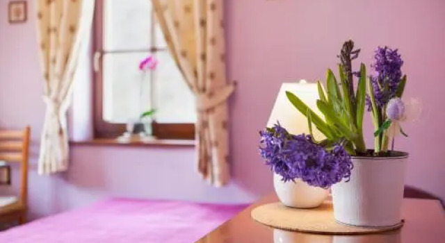 Willa Weronika, Забронировать Апартаменты/квартира Апартаменты Klodzko Valley, Апартаменты/квартира